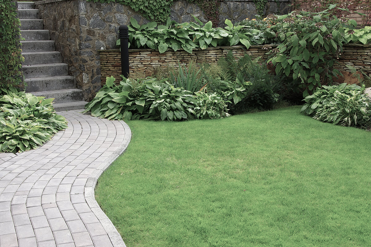 Welcome to Woodpecker Landscaping